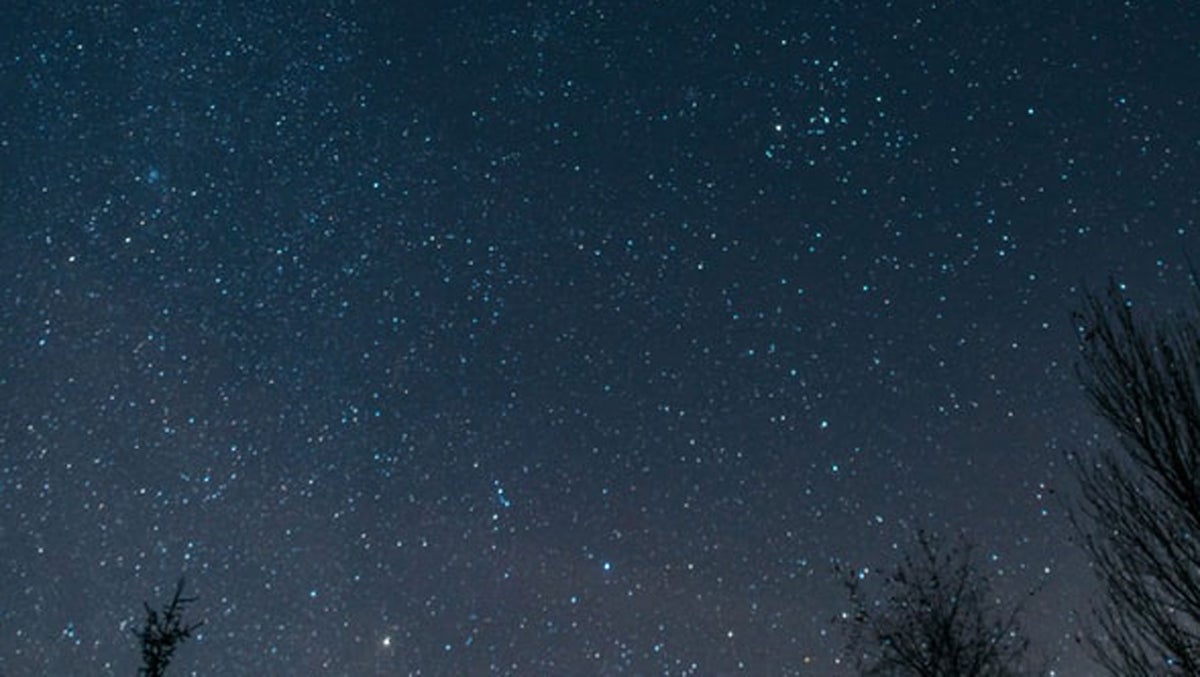 Your Weekly Astrology Forecast, February 20-26: A New Layer of Who You Are Is Emerging