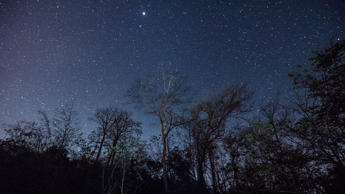 Your Weekly Astrology Forecast, March 20-26: Time to Take Action