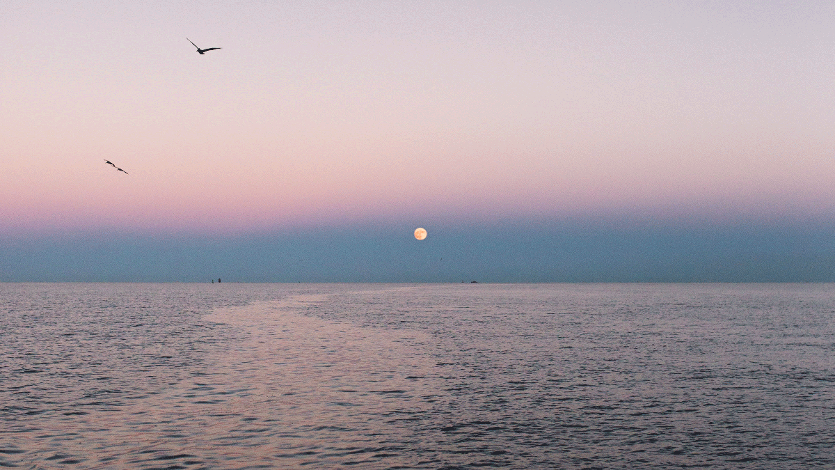 Weekly Astrology Forecast, May 15-21: Let It Be