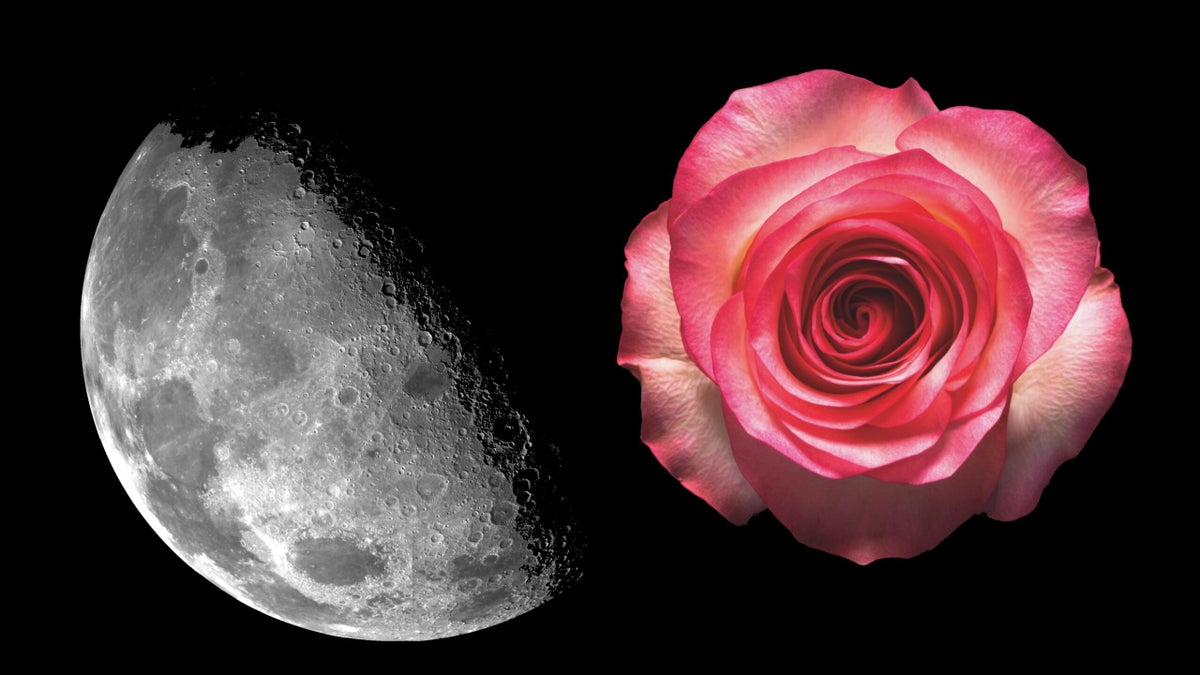 The Science of Awe