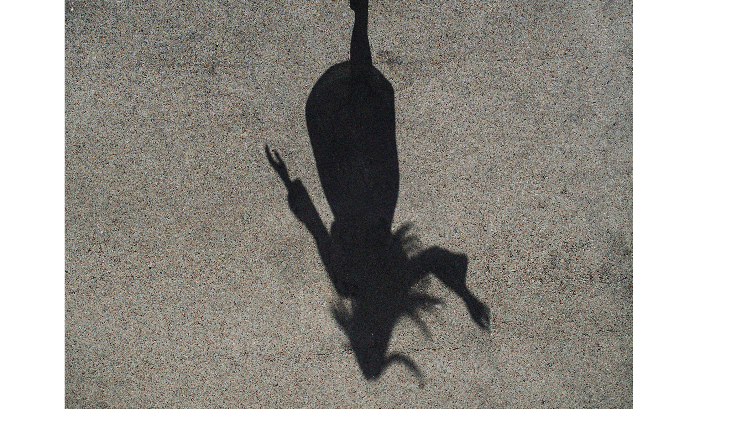 A shadow on a sidewalk representing the Mercury retrograde shadow period 2024 and how it influences the weekly astrology forecast.