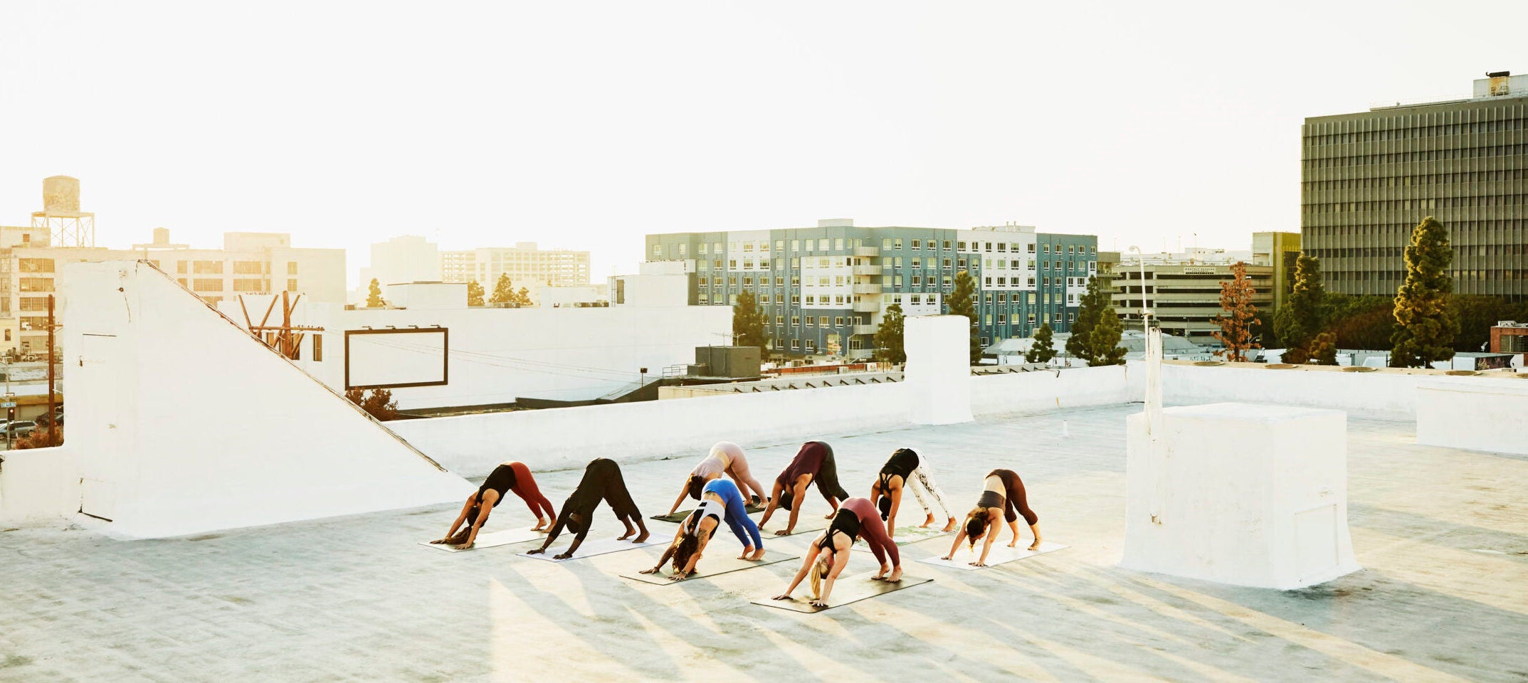 Class of students on a rooftop at sunset practicing how to do Downward-Facing Dog Pose
