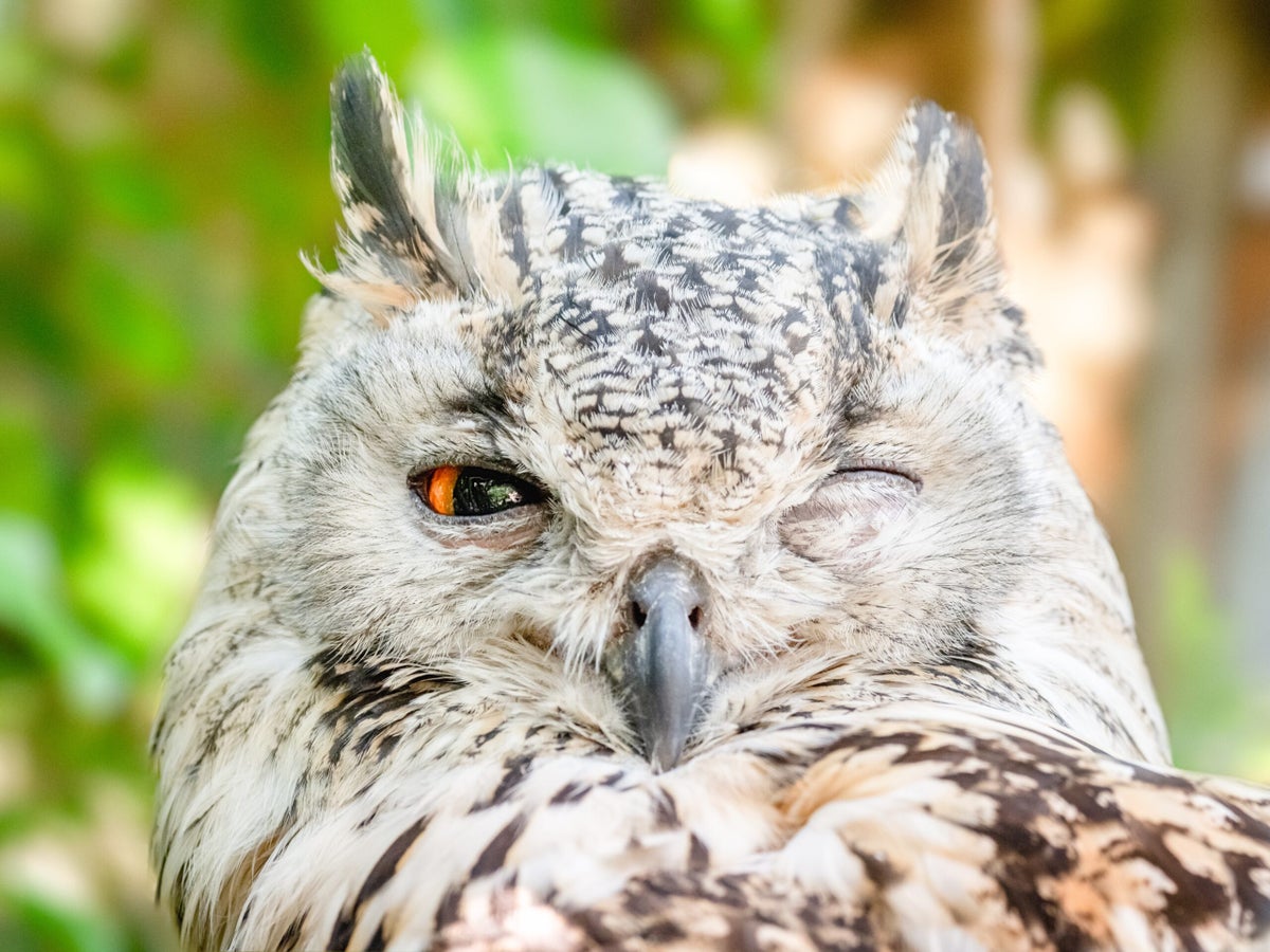 Scientists Say This 10-Minute Test Can Tell You How Wise You Are