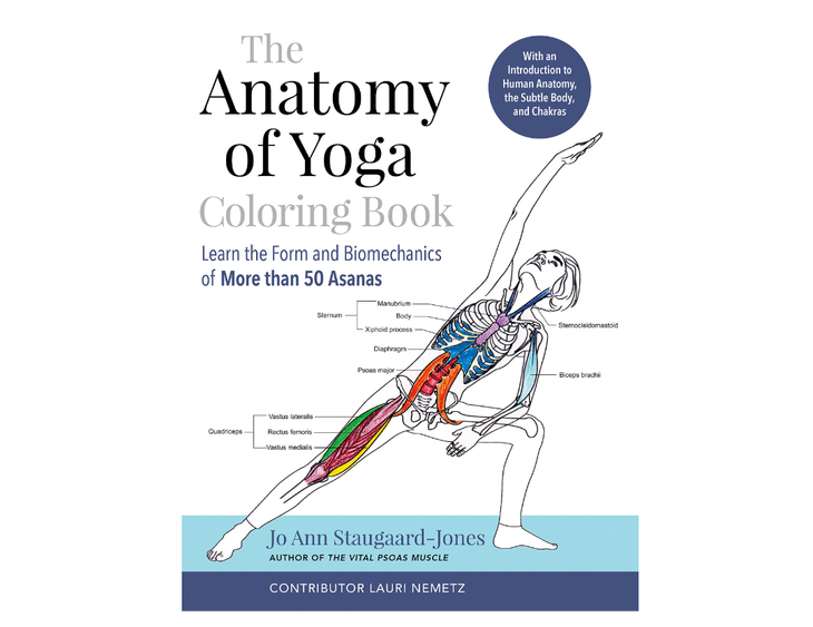 Cover of coloring book The Anatomy of Yoga. Illustration of a body performing the side angle pose