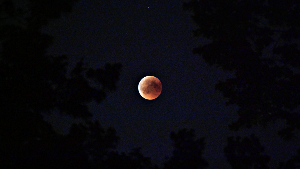 A photo of a lunar eclipse from early 2023 that depicts the full Moon with a reddish cast. It looks much like the full Moon in Taurus will appear on October 28, 2023.