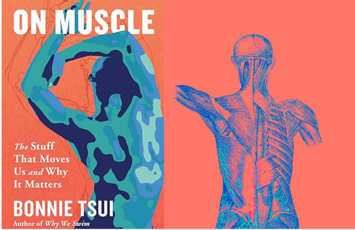 Bonnie Tsui's book cover of On Muscle and an architectural rendering of muscle.
