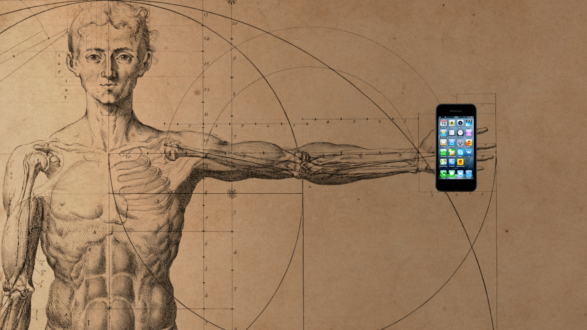 anatomy apps