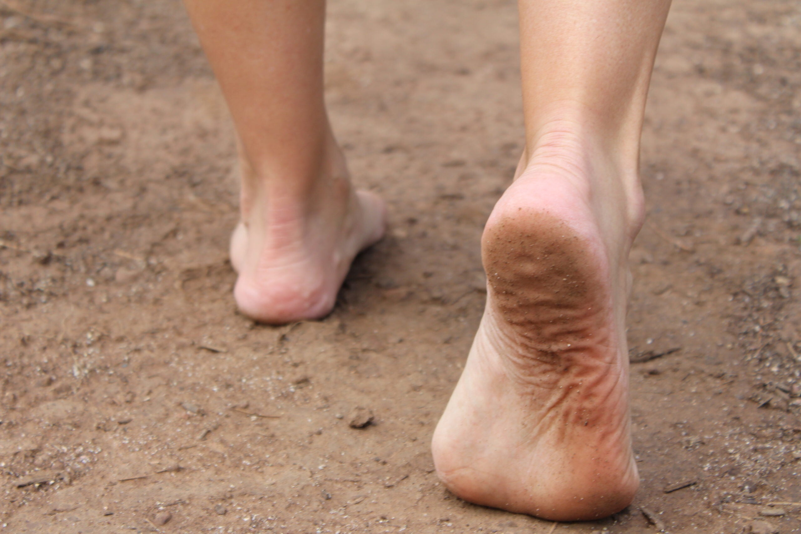 bare feet walking on the barefoot trail