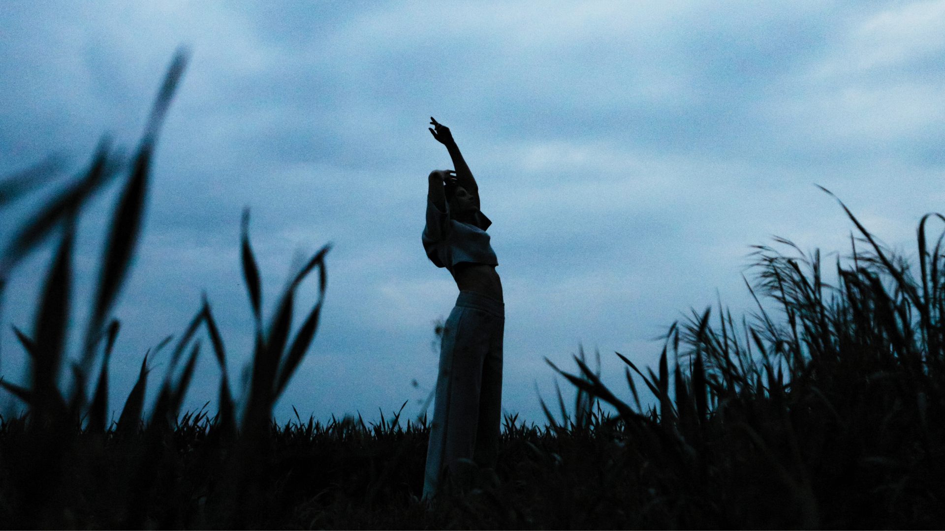 Your Weekly Horoscope, November 16-23, 2025: Seeing Your True Potential