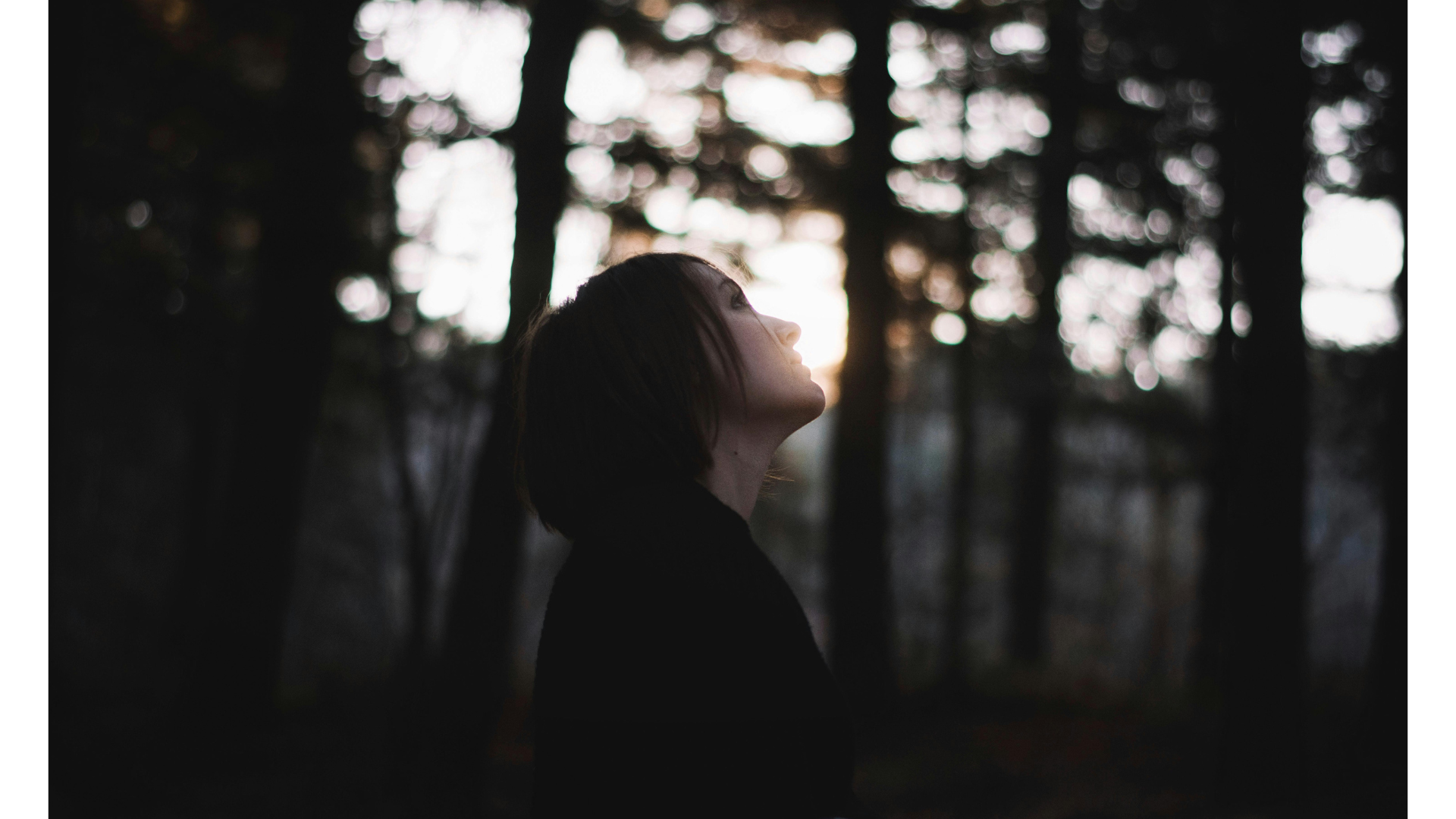 Your Weekly Horoscope, November 2-8, 2025: