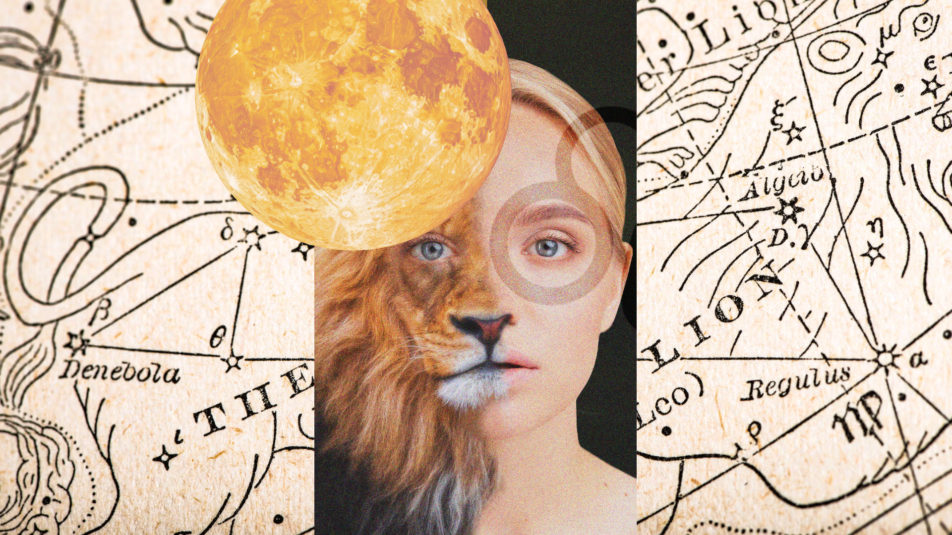 What the Full Moon in Leo Means for You in February