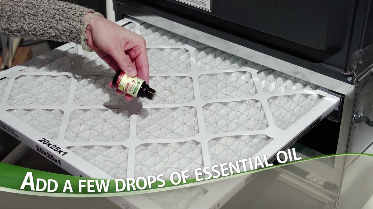 DIY Cleaning Video Freshen Your Home Air with Essential Oils