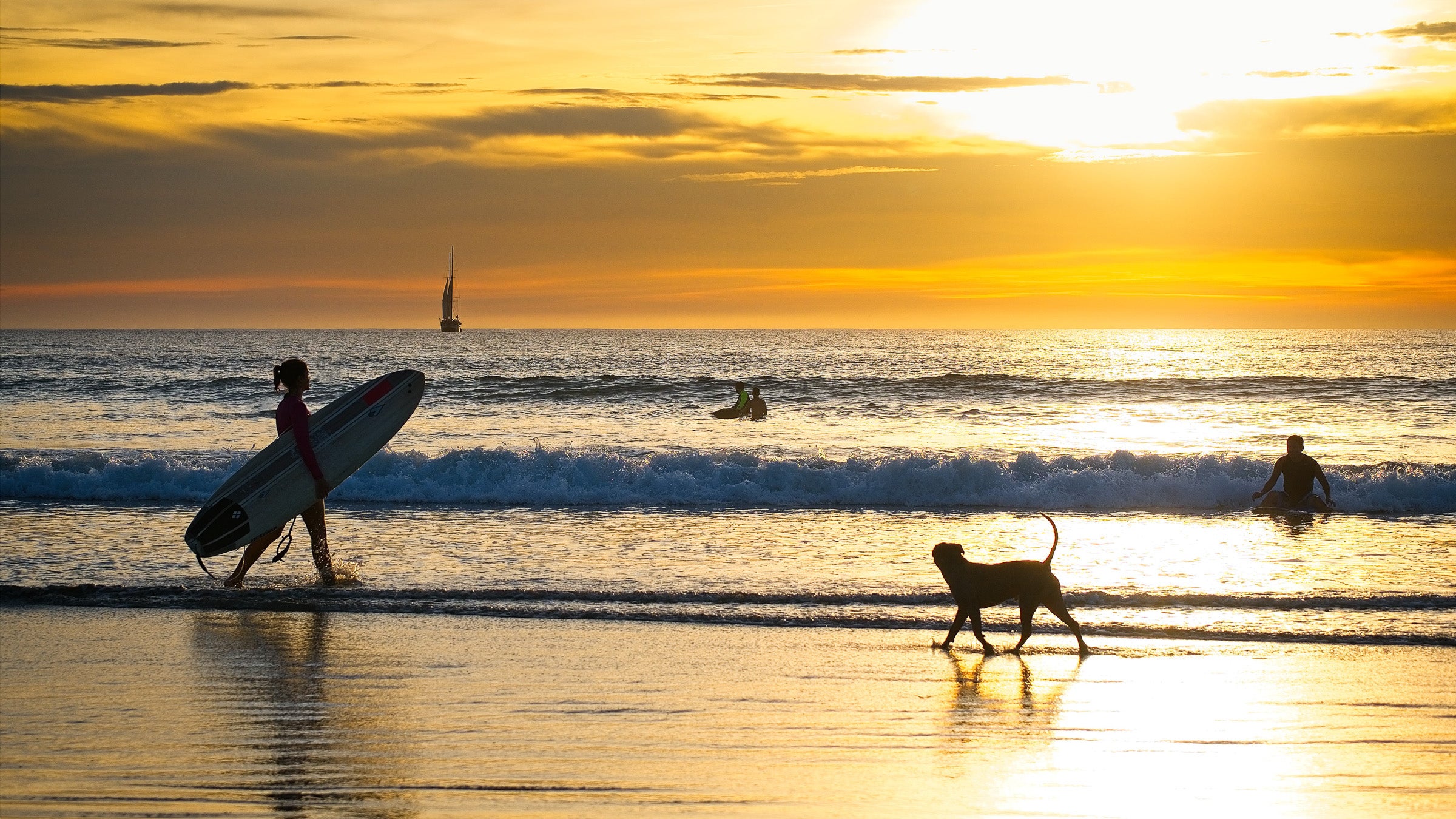 Surfer and a dog on Costa Rican beach at sunset